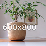 600x800